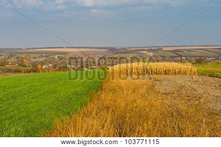 Autumnal landscape in village Dovzhik in Ukraine