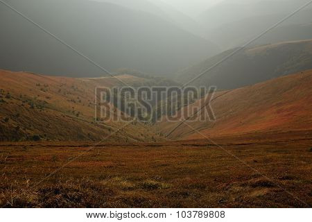 Autumn In Carpathian Mountains