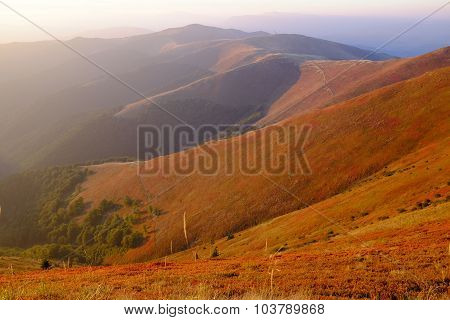 Autumn Evening In Carpathian Mountains