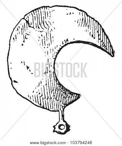 Etruscan serpe, vintage engraved illustration.