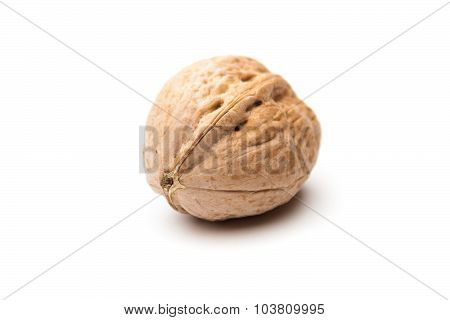 Walnuts (Juglans regia)