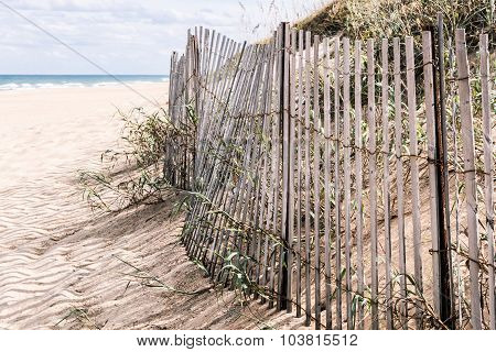 Beach Grass and Dunes with Pickett Fence