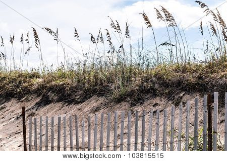 Pickett Fence with Beach Grass and Dunes at Sandbridge