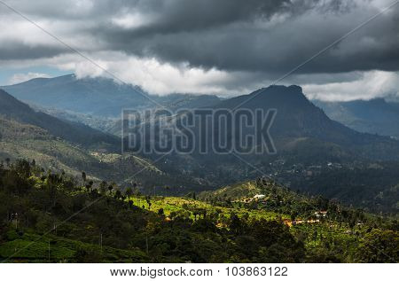 Green valley with tea plantations and mountains in the highland area near the village of Haputale, Sri Lanka