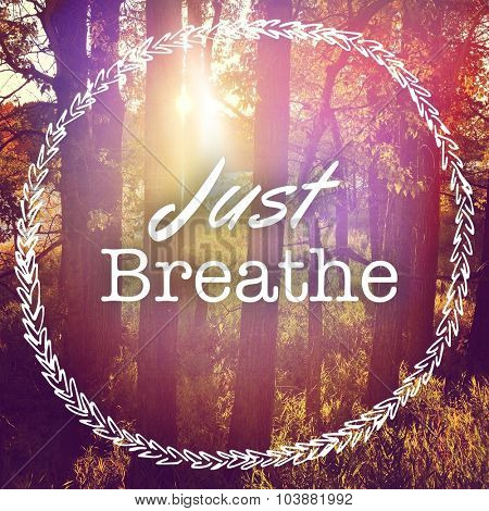 Inspirational Typographic Quote - Just Breathe