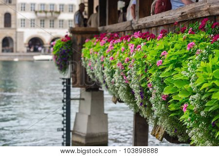 Flowers On The Chapel Bridge In Lucerne