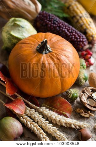 Autumn Background With Pumpkin