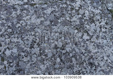 Surface Of A Granite Stone