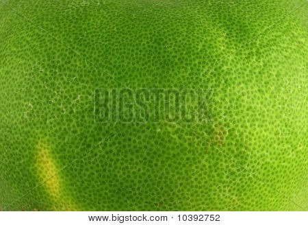 Grapefruit Rind