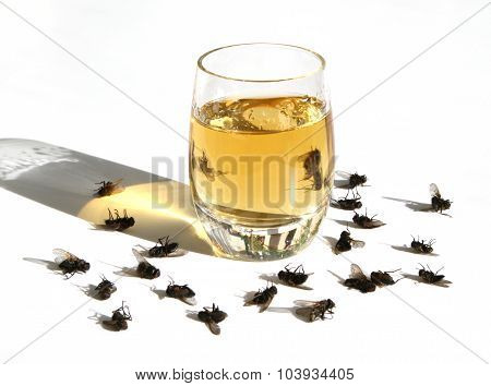 The Harm Of Alcohol