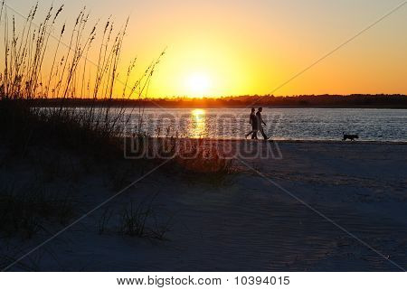 par omvandrende hund solnedgang