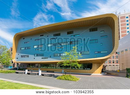 Modern Building
