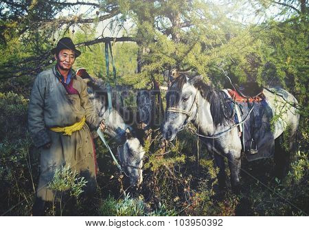 Mongolian Tsataan Horses Tranquil Solitude Nomadic Concept