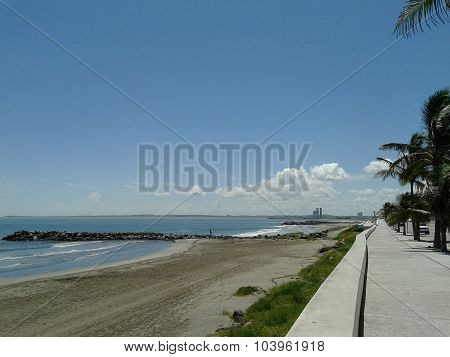 Beach view