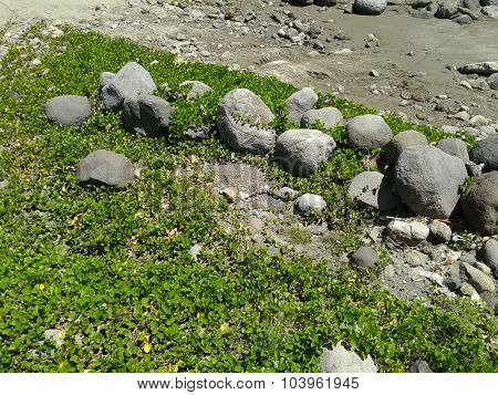 Beach rocks