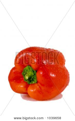 Sweet Peppers (Series 5)