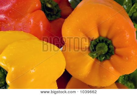 Sweet Peppers (Series 3)