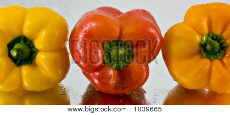 Sweet Peppers (Series 1)