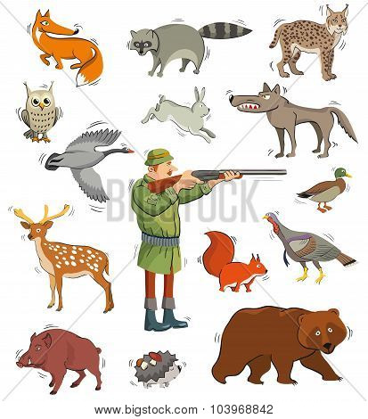 hunter and wild animals