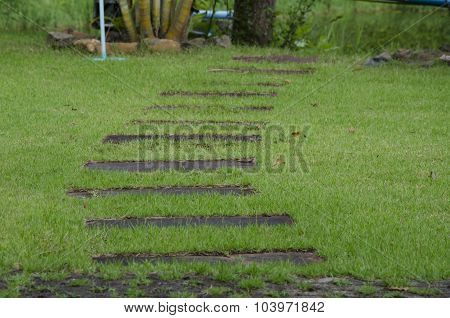 Walk Way On Green Grass Turf Floor Texture Background