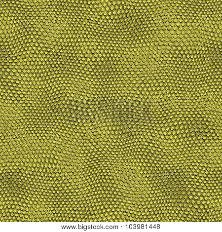 Snake skin