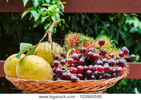 Tropical Fruit