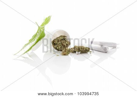 Medical Marijuana