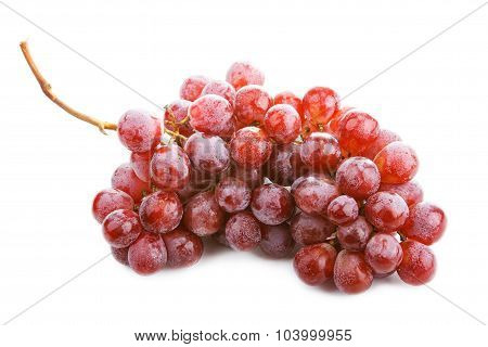 Grape cluster isolated on a white background. Pink grapes