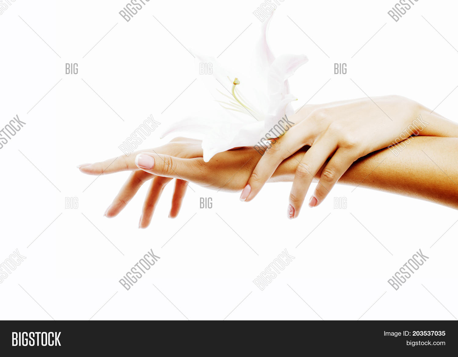 Beauty Delicate Hands Image & Photo (Free Trial) Bigstock