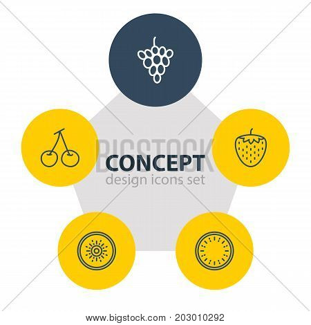 Editable Pack Of Morello, Vineyard, Berry And Other Elements.  Vector Illustration Of 5 Berry Icons.