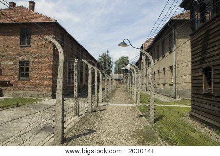 Auschwitz - Barbed Wire
