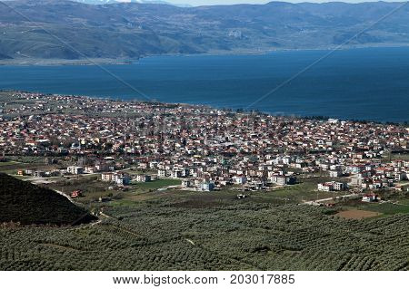 Iznik (Nicaea) coast line and olive trees in Bursa, Turkey