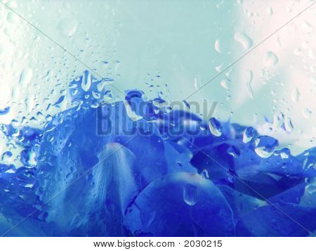 Backgroud con petali di Rose