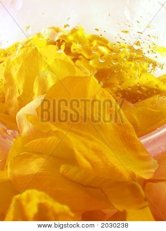 Backgroud con petali di Rose