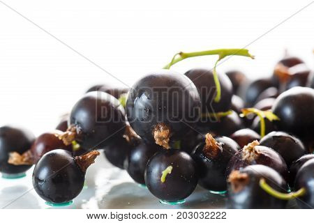 Berry ripe black currant on white background