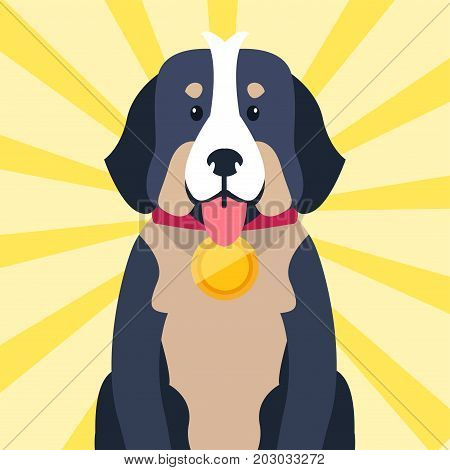 Bernese Mountain Dog champion with round golden award on neck isolated on striped yellow background. Vector illustration in flat design of highbred domestic sitting animal that won competition
