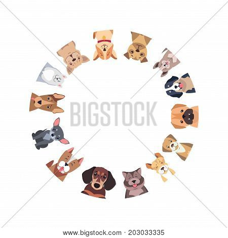 Circle of different purebred dogs. Vector of Bernese Mountain and Central Asian hounds, French and English Bulldog, Chihuahua and boxer, Jack Russell and Bull Terrier, puppy of Argentinian Dog.