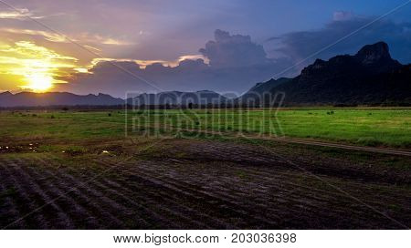 Countryside Sunset at Farm Green Field and Mountain