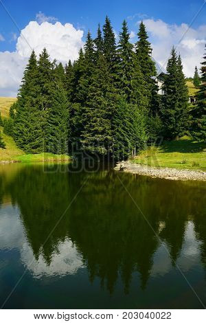 Alpine landscape in Tarcu Mountains, Carpathians, Romania, Europe