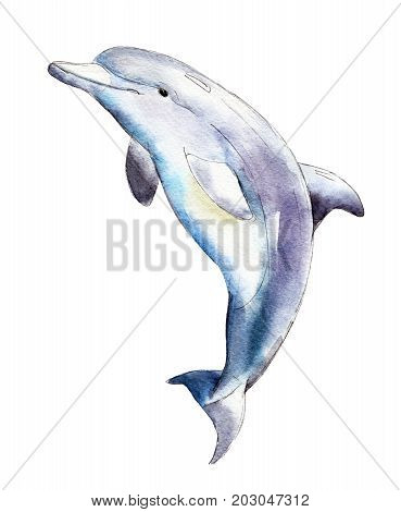 Watercolor dolphin hand-drawn illustration isolated on white background.