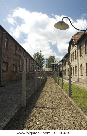 Auschwitz - Street