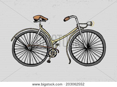 bicycle, bike or velocipede. travel illustration. engraved hand drawn in old sketch style, vintage transport