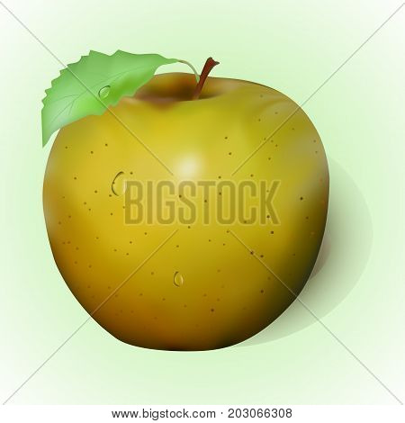 juicy yellow apple and leave vector illustration