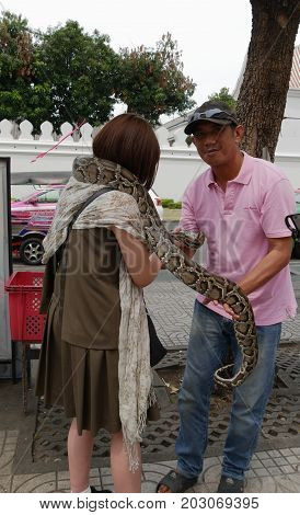 BANGKOK, THAILAND--MARCH 2016: A man lets a female tourist hold his pet boa constrictor at the streetside for picture taking for a fee in Bangkok, Thailand.