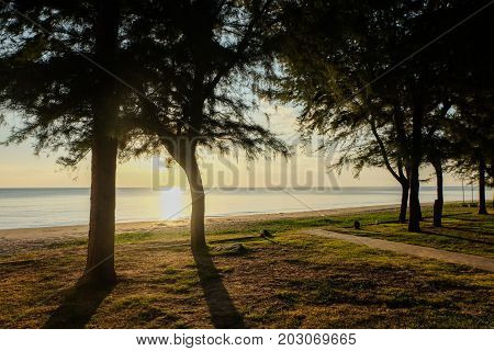 Sunset at sea with trees sway at Chaolao Tosang Beach Chanthaburi Thailand for nature background or texture.