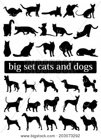 big set cats and dogs. silhouettes. vector