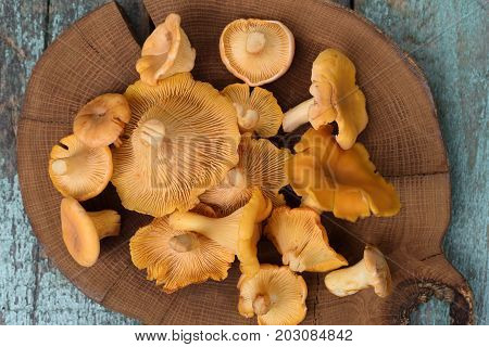 Fresh whole forest chanterelle mushrooms on round wooden plate above view closeup