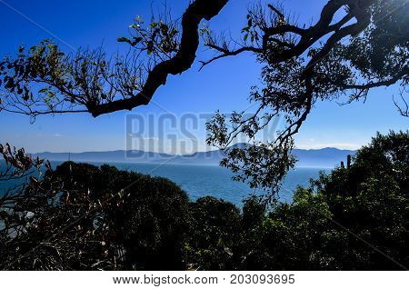 view with vegetation towards the blue sea