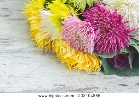 Chrisantemum fresh fall flowers bouquet close up on wooden aged table with copy space