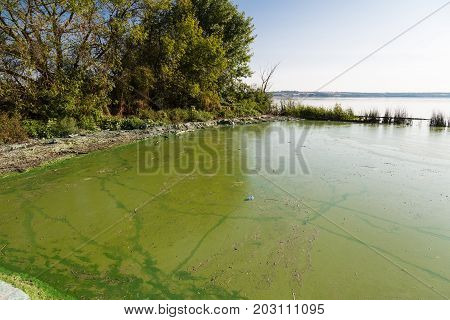 Dirty green water in the reservoir. Contamination by toxic algae in water surface. Ecological catastrophy. Concept of environmental pollution and protection of ecology.